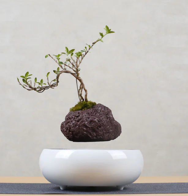 Magnetic Floating Plant Pot