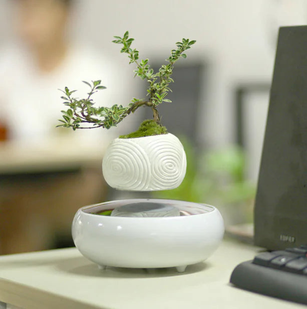 Magnetic Floating Plant Pot