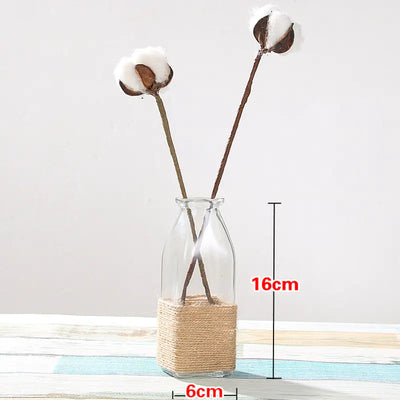 Creative Glass Vase