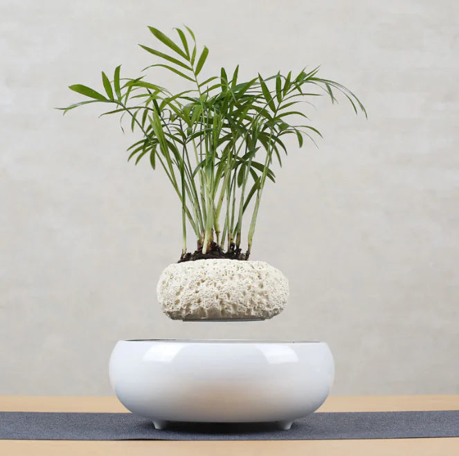 Magnetic Floating Plant Pot