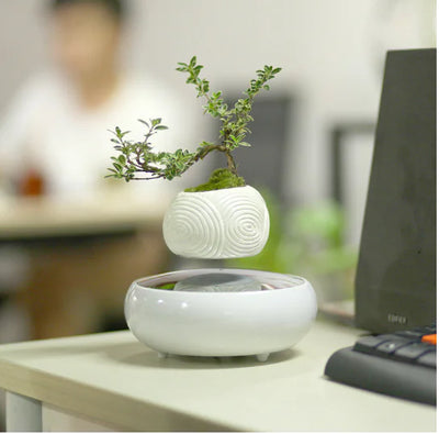 Magnetic Floating Plant Pot