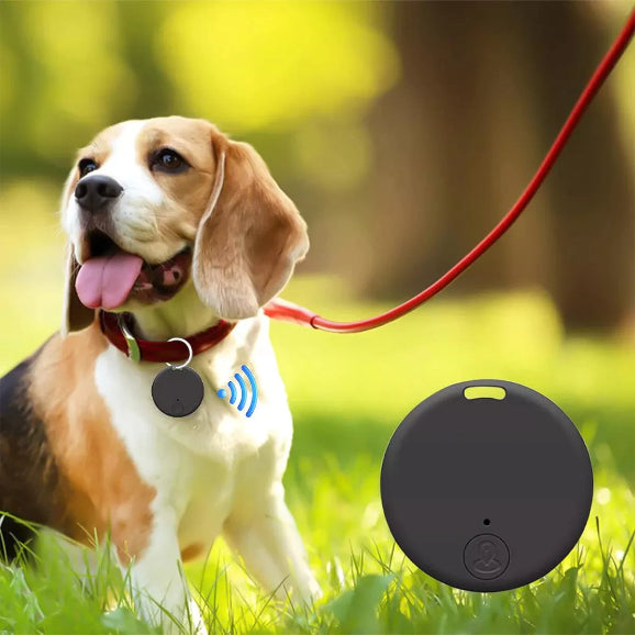 GPS tracker attached to a pet collar for tracking dogs or cats.