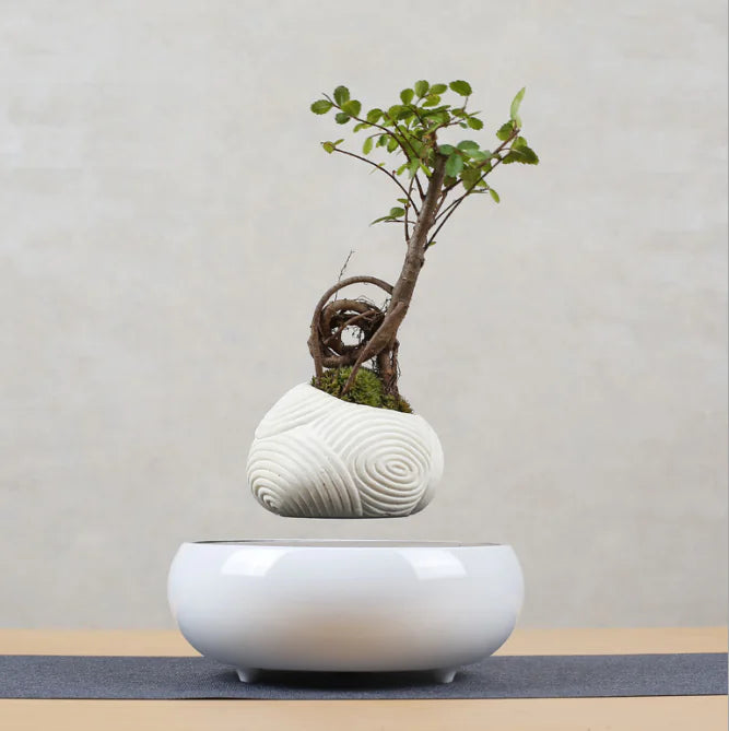 Magnetic Floating Plant Pot