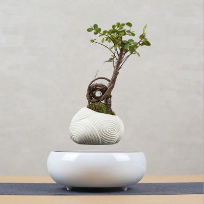 Magnetic Floating Plant Pot