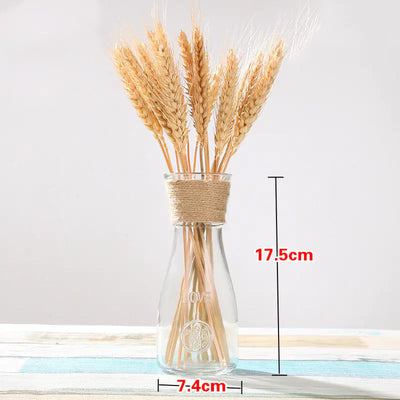 Creative Glass Vase
