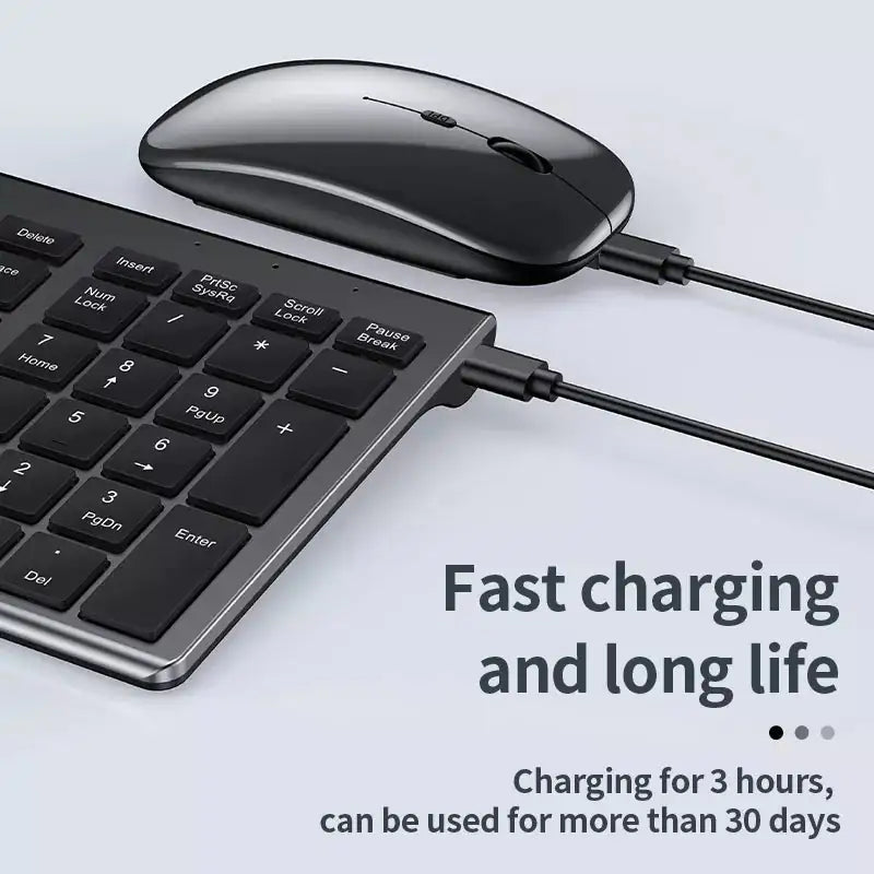 2.4G Bluetooth Keyboard & Mouse Combo