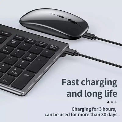 2.4G Bluetooth Keyboard & Mouse Combo